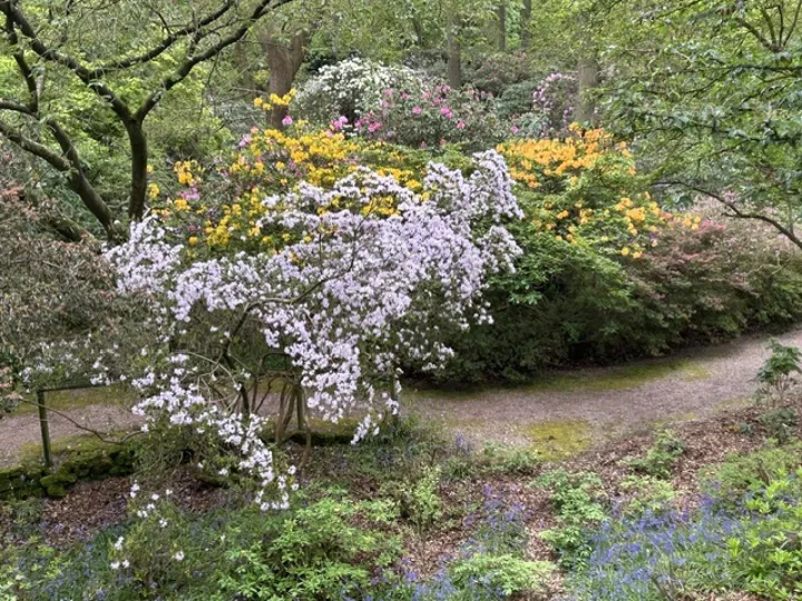 Image1