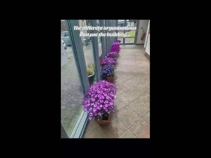 Flower Festival