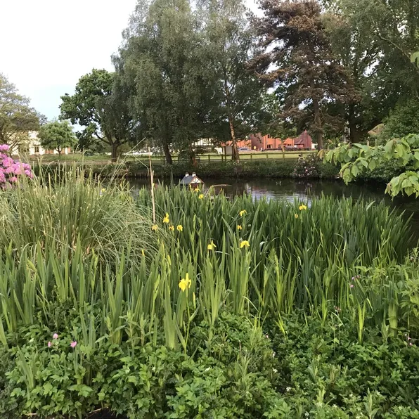 Hankelow Pond