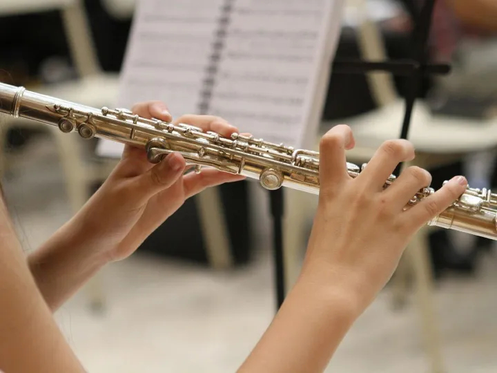 Music, jazz, flute, musician, instrument, sound