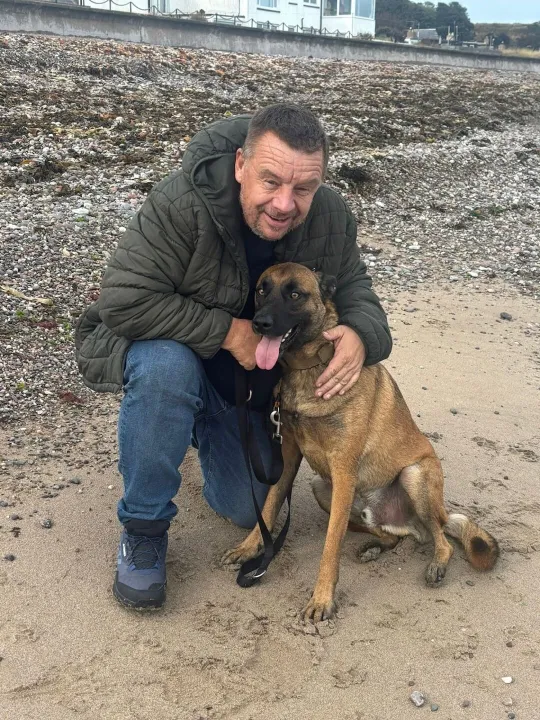 German Shepherd With Handler Outdoors
