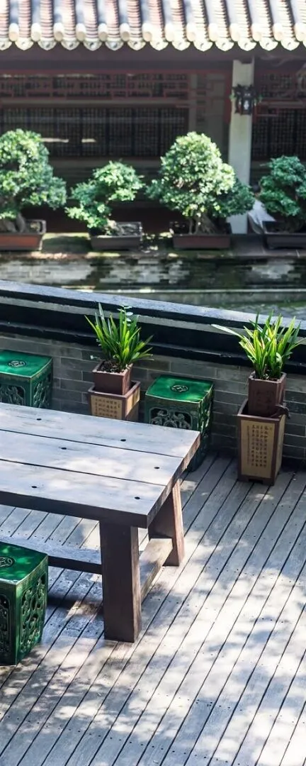 Tranquil space with plants