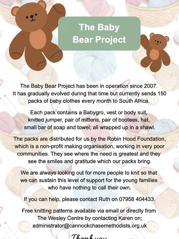 Baby Bear Project