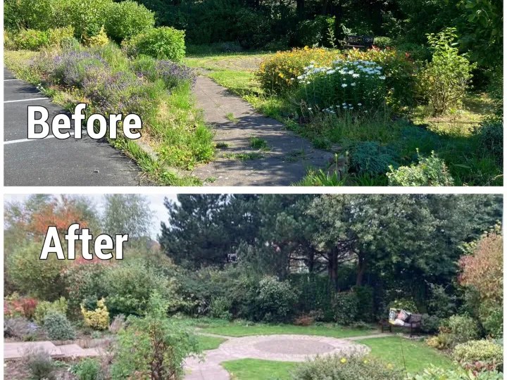Before and After  Peace Garden