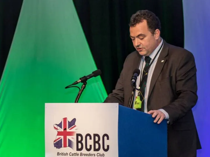 BCBC Chairman Ben Harman
