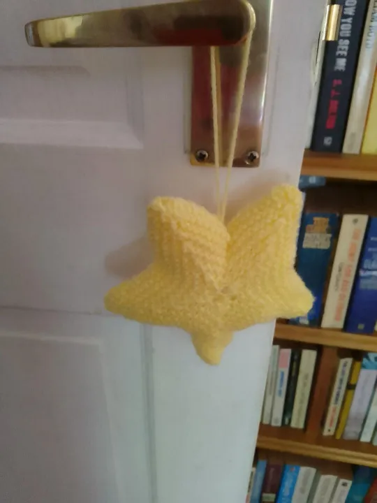 2026.09 Knitted star