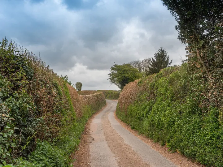 A quiet country lane lined with hedgerows under a cloudy sky