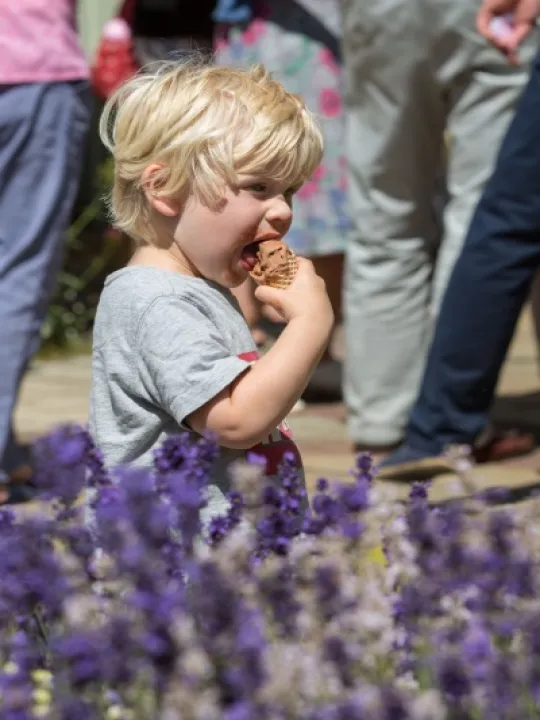 HVS Garden Party 24
