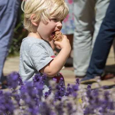 HVS Garden Party 24