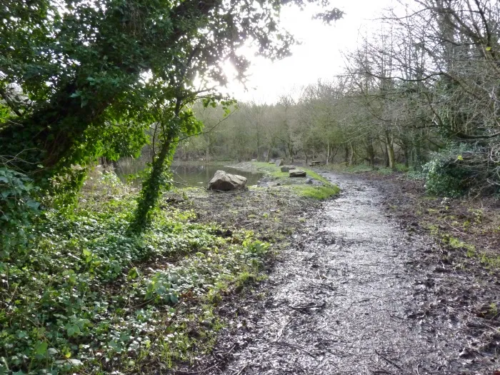 Podmore 06