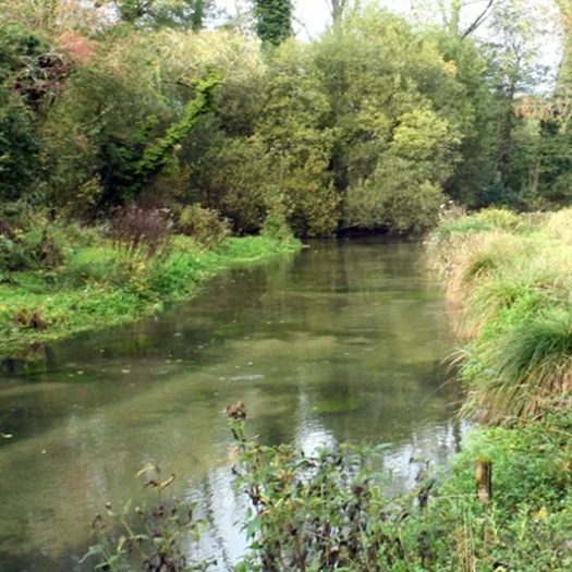Flowing stream 07a