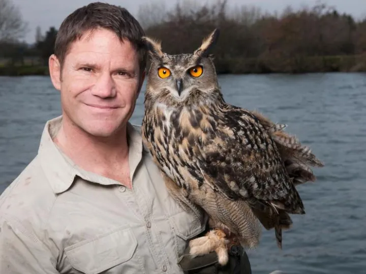 owl