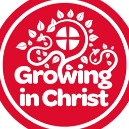 Circuit Logo red on white square
