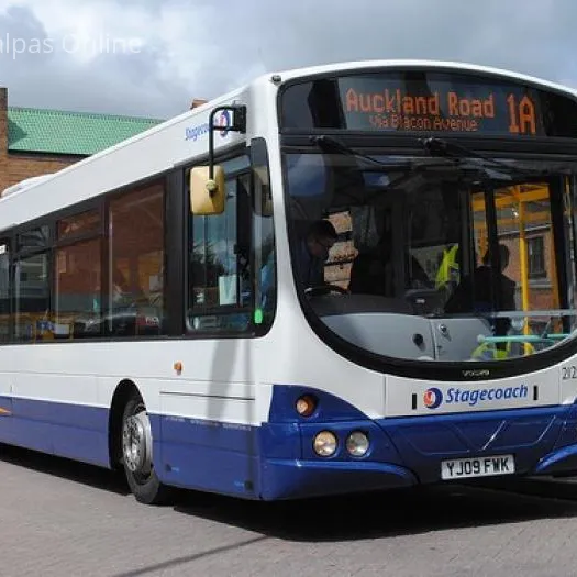 bus