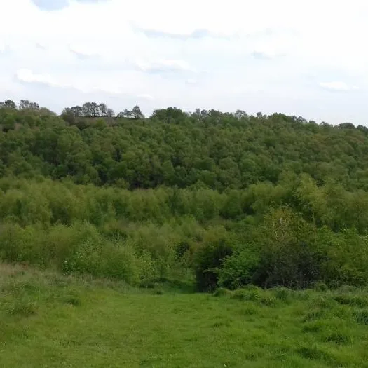 20170430_132052 Snidley Moor from Woodhouse Hill new woodland