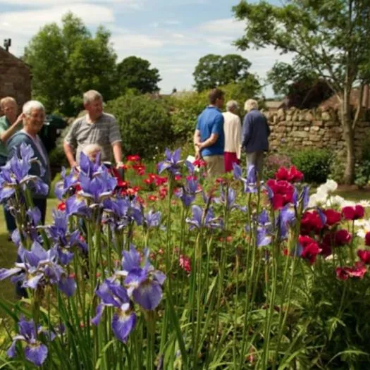 Open Gardens 02