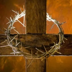 Easter_Crown of Thorns 06