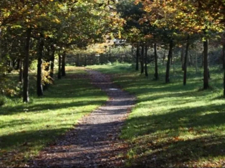 Tarvin Community Woodland