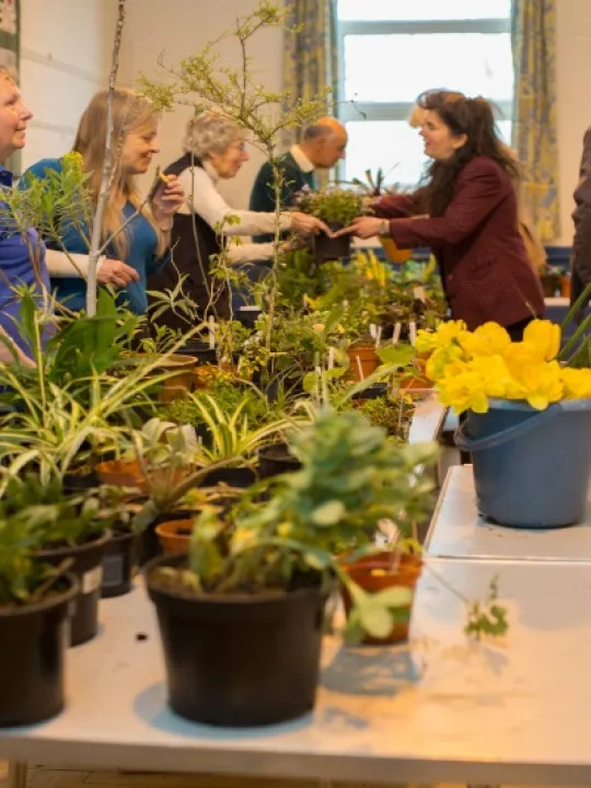 A Plant Stall Also