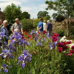 Open Gardens 02