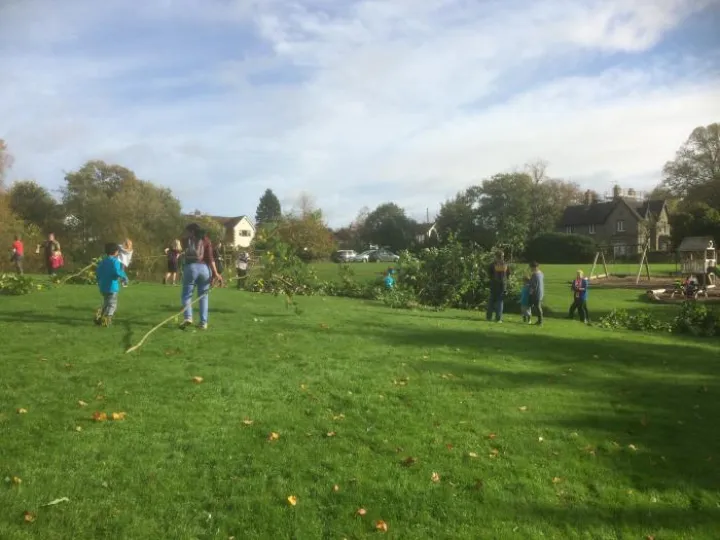 TreeThinning17