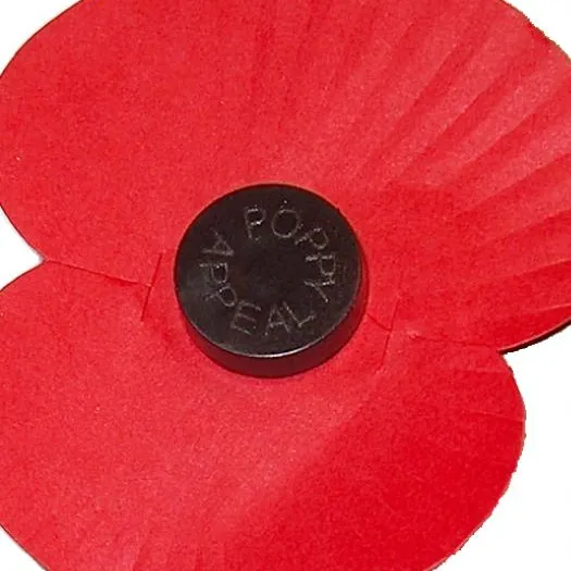 A Poppy