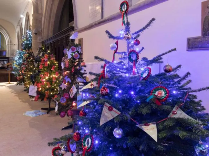 Christmas Trees 05