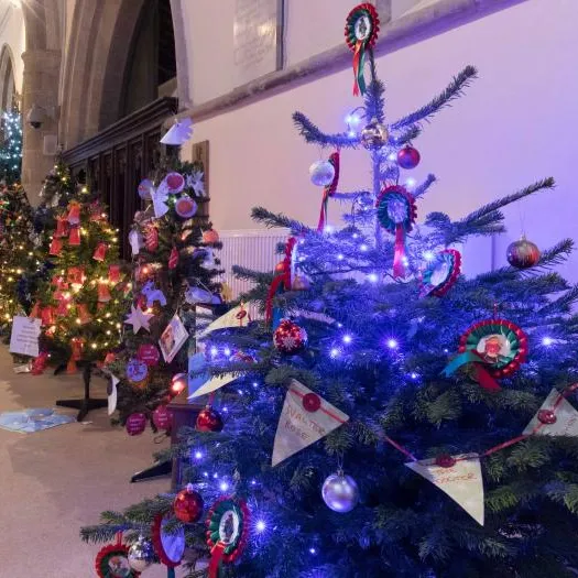 Christmas Trees 05