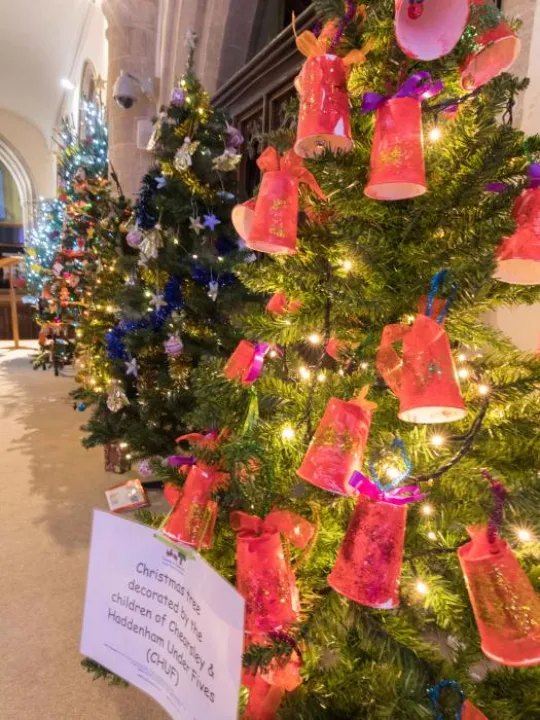 Christmas Trees 06