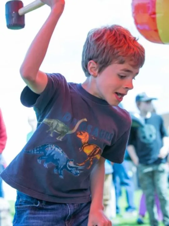 Haddenham Fete 41