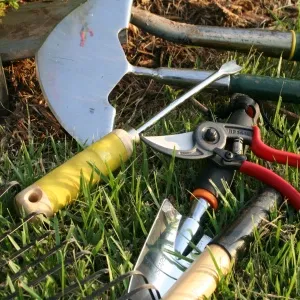 Gardener's Tools