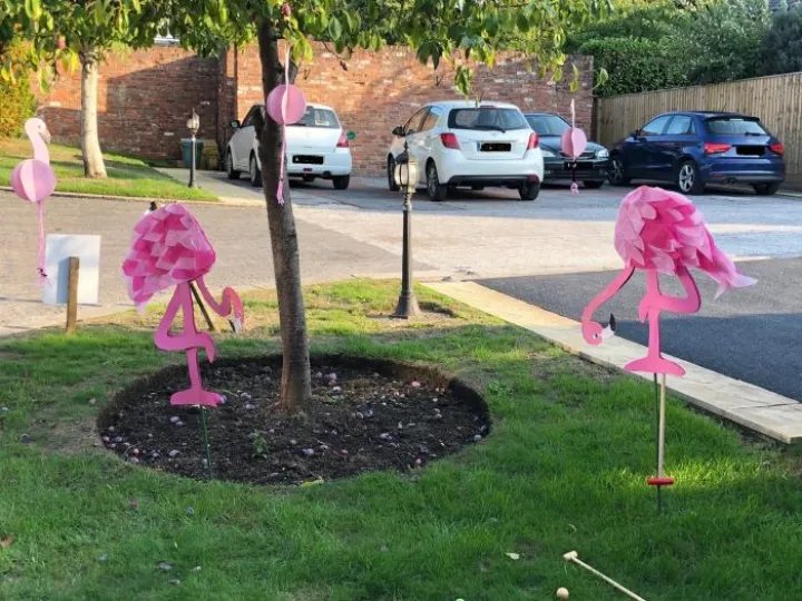 Flamingo 2