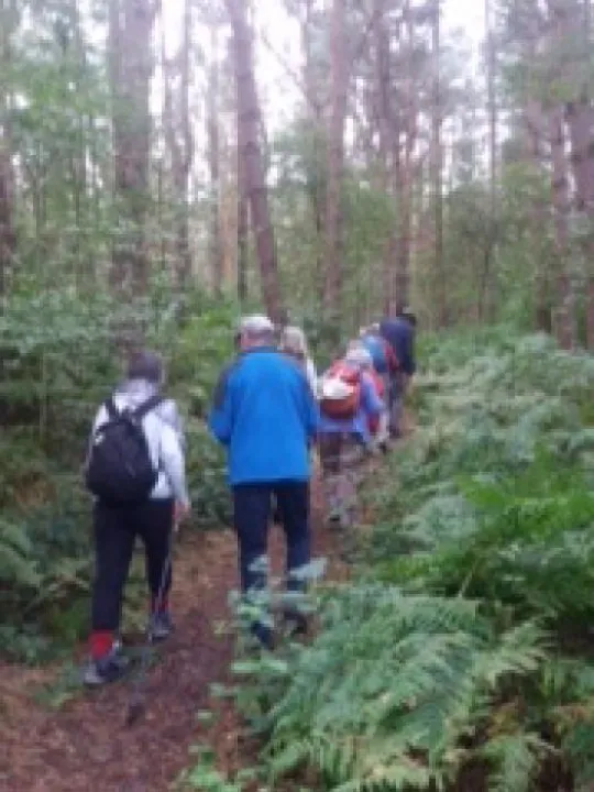 U3A whitegate