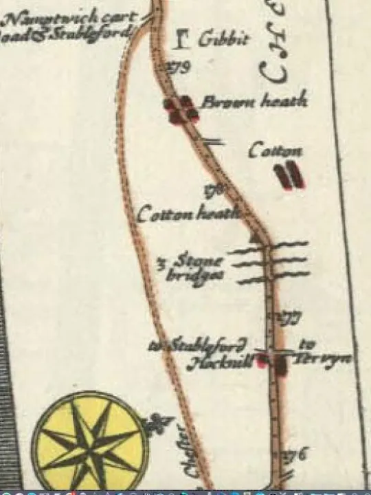 Oligby Plate 23