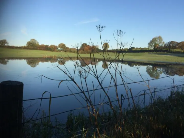 Flood (2)