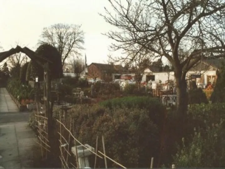 Nursery site view 5