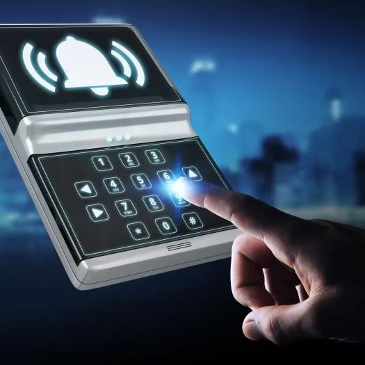 Security keypad alarm