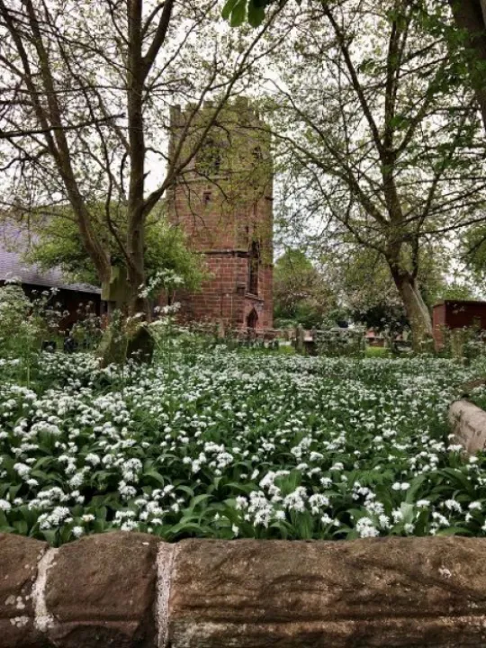 churchyard5