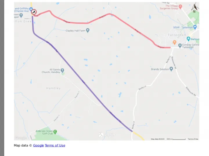 Frog Lane