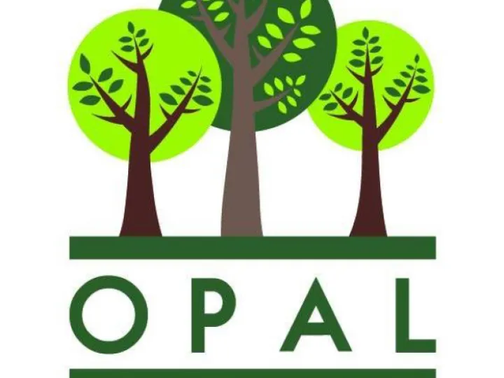 opal png