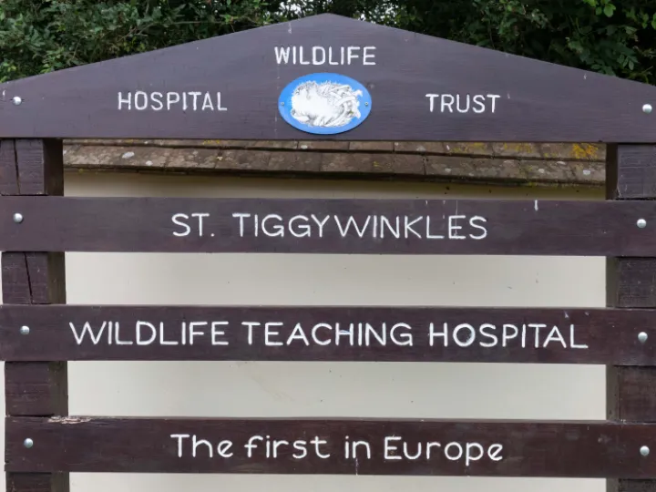 Tiggywinkles 03