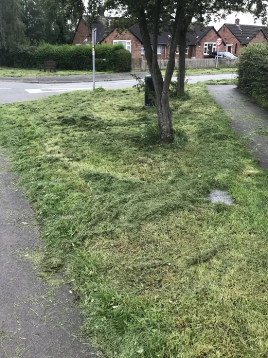 grass 2