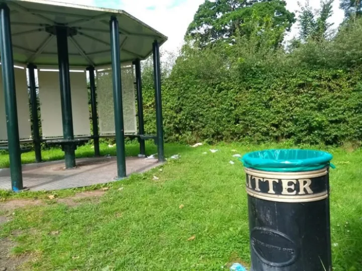 Litter 1