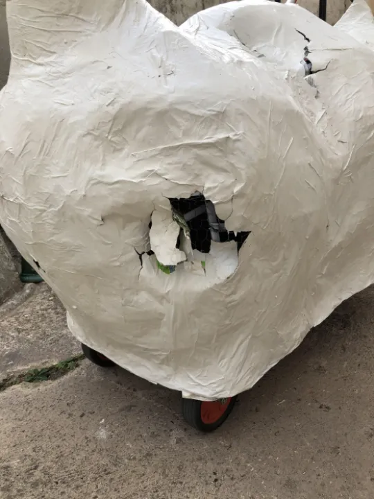 Damaged Model Duck