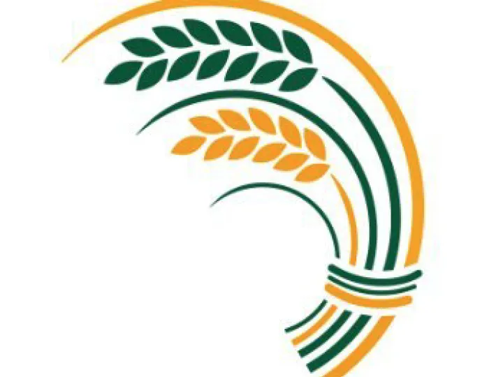 Cheshire East Logo 1