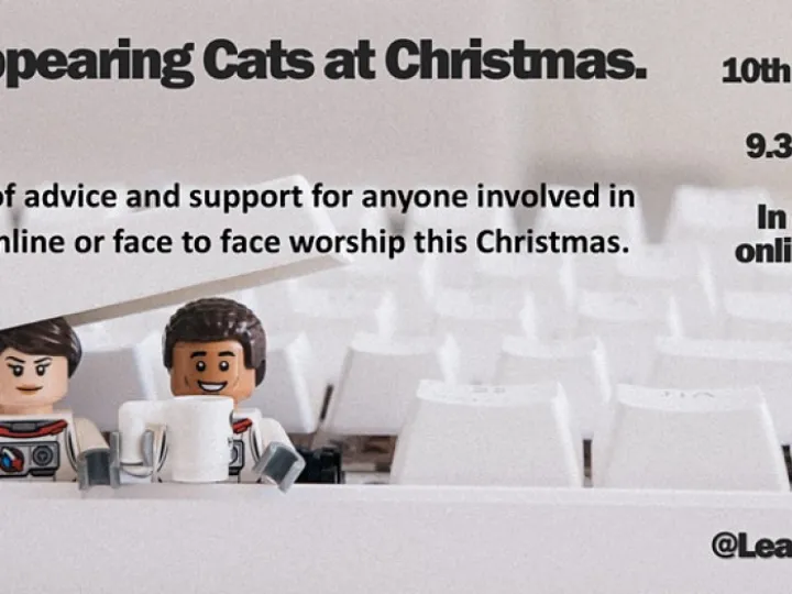 Disappearing Cats