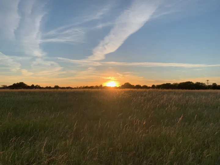 Sunset 5