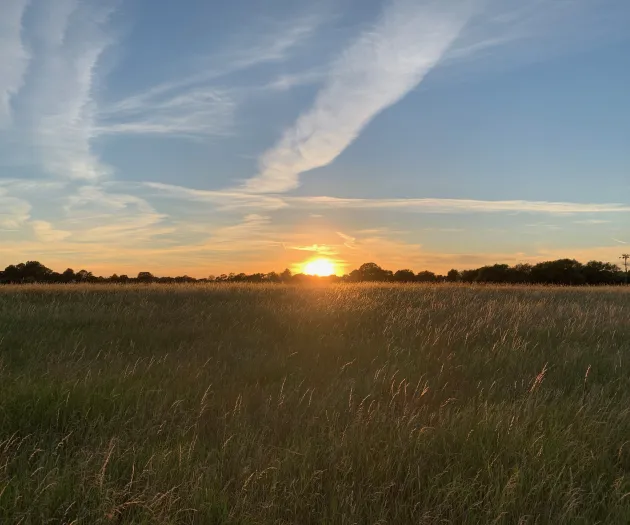 Sunset 5