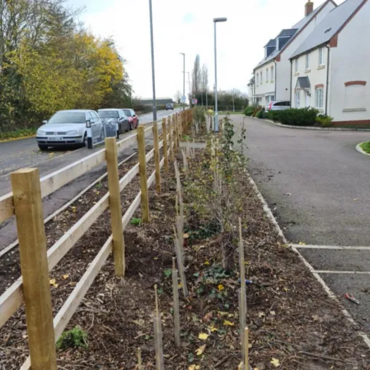 Tree Planting on Chilworth Gate