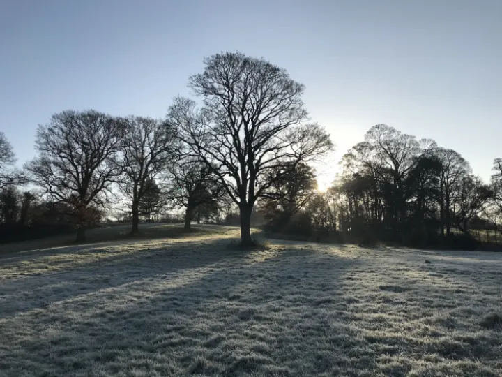 turnpike frost